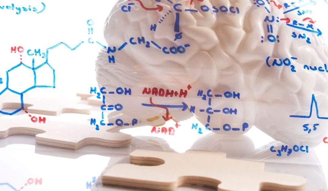 Electricity and Chemistry – two brain systems