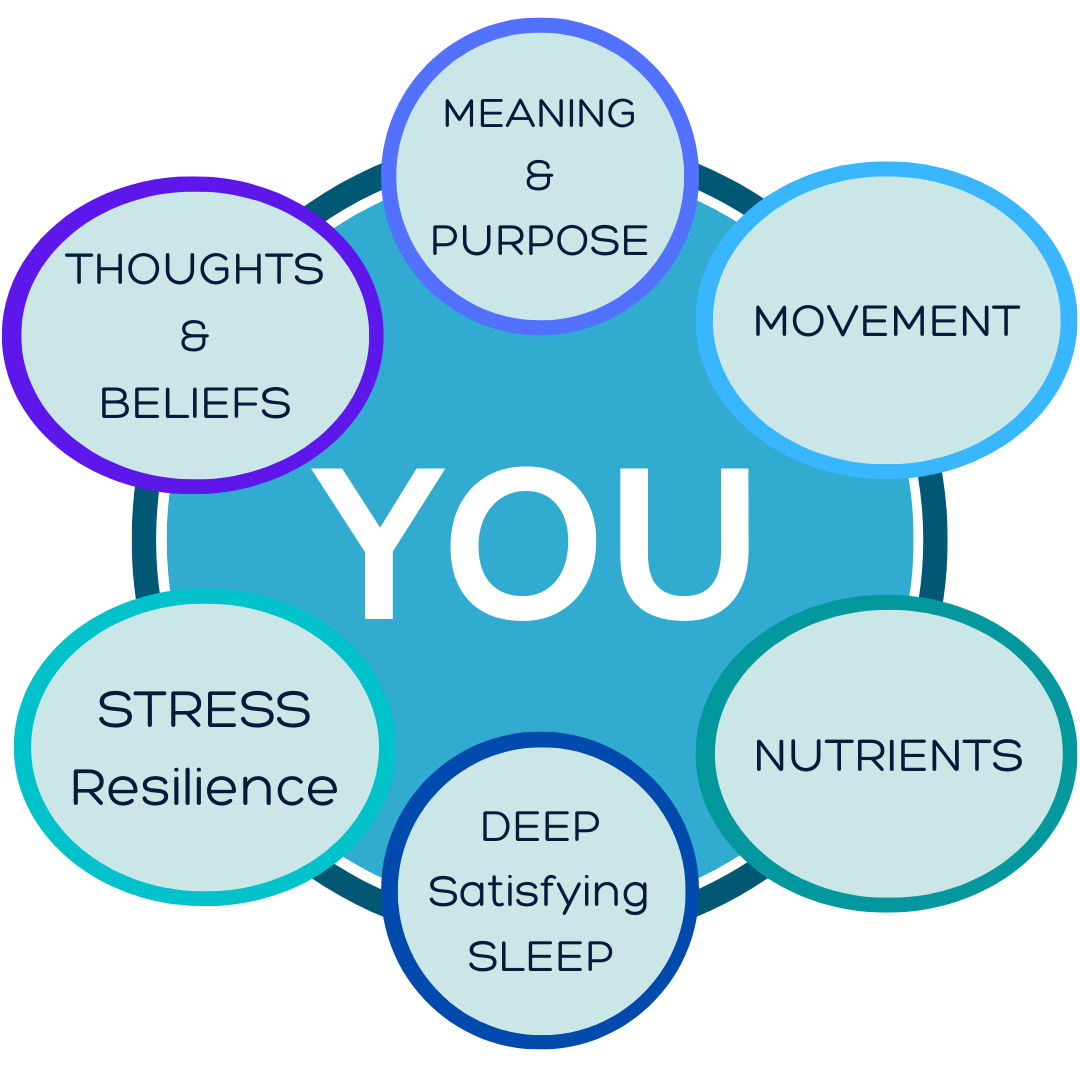 Wellness Wheel 2