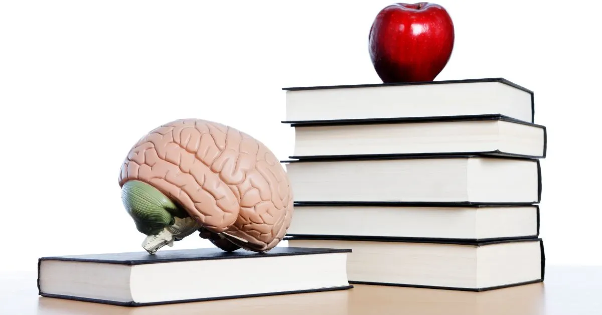 neurofeedback-studies-and-research